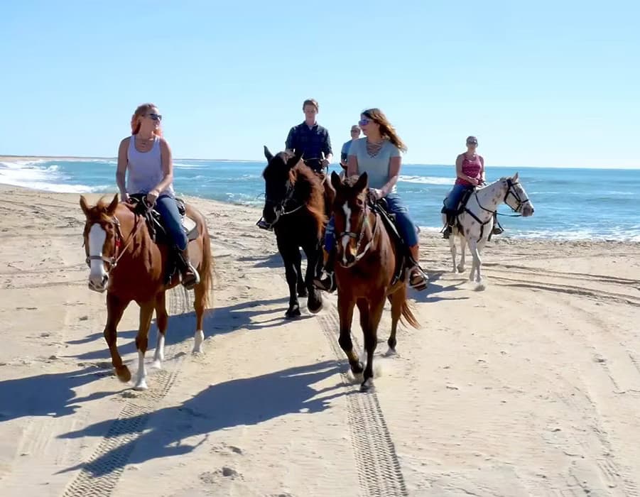 A group of riders on horseback walks along a sandy beach near the ocean.