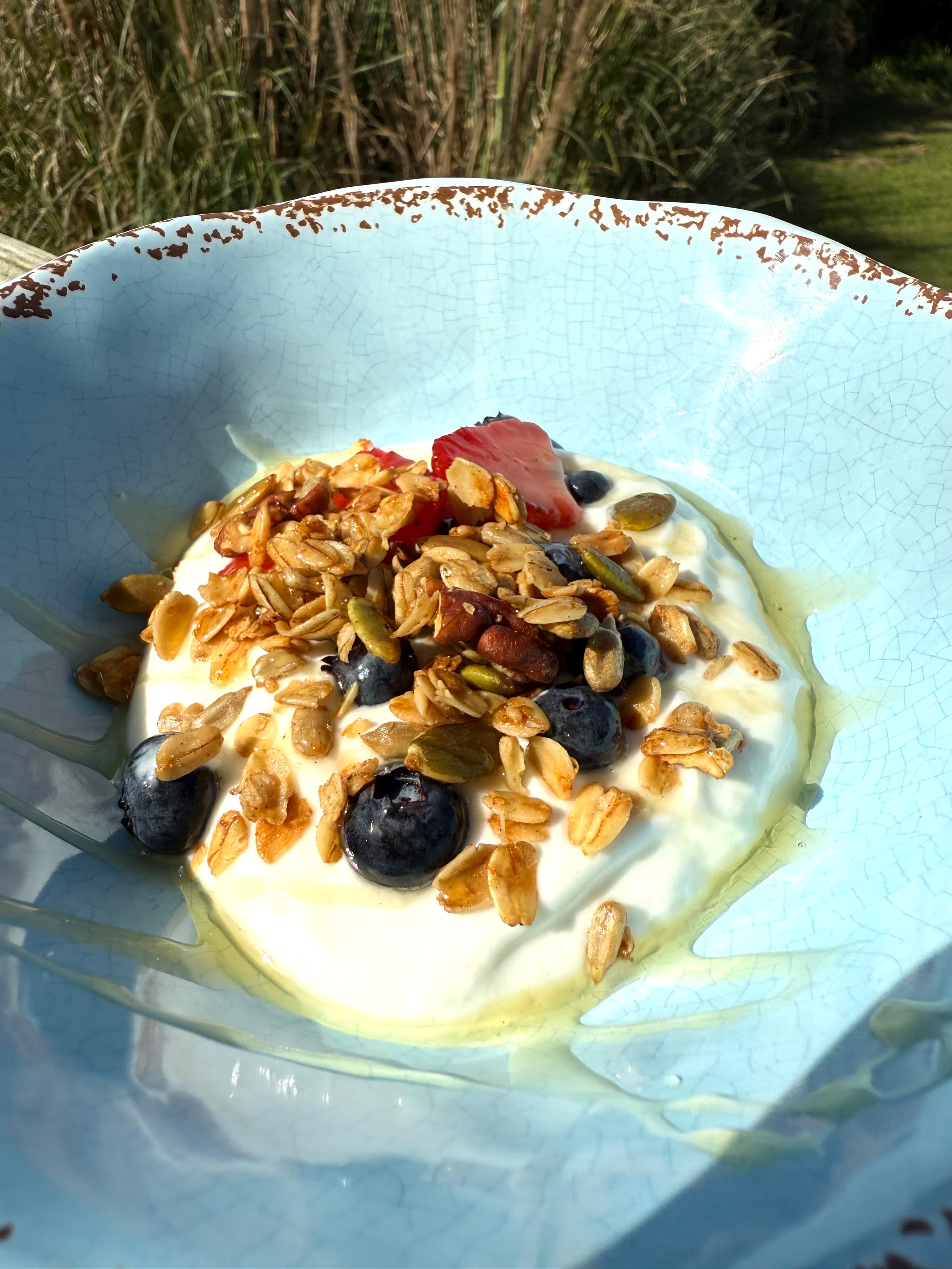 A bowl of yogurt topped with granola, blueberries, and a slice of strawberry.