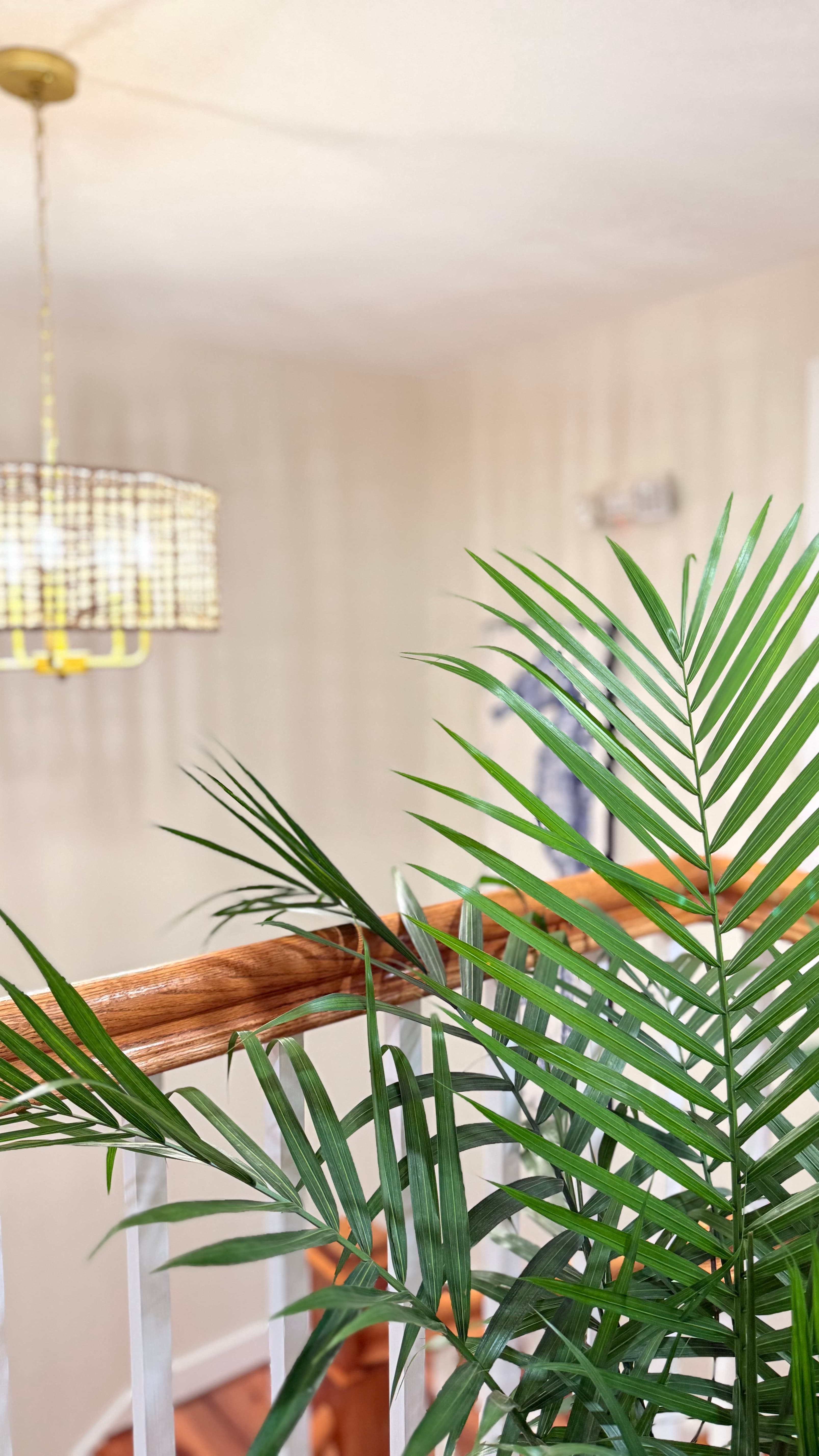 A potted palm leaves frame a view of a well-lit stairwell with a decorative light fixture.